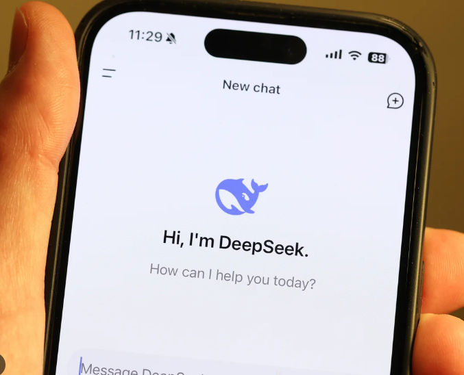 DeepSeek